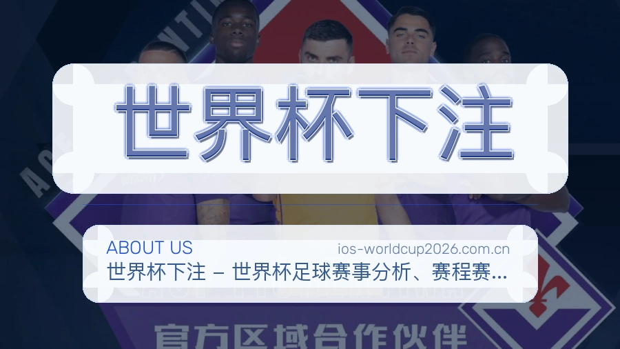 世界杯下注品牌与平台服务介绍图